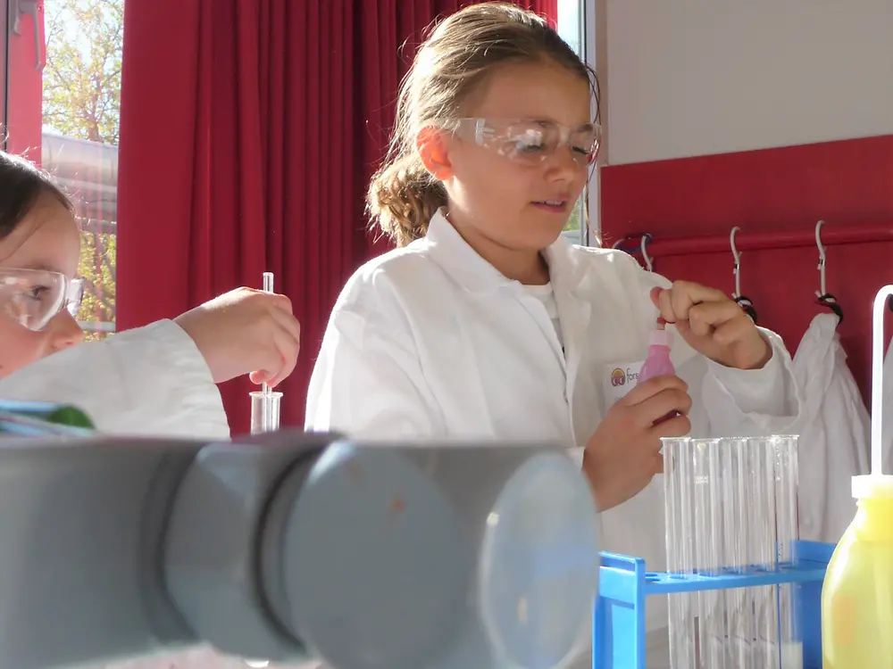 Nişastayı tespit etmek için gıda üzerinde test yapan çocuk 