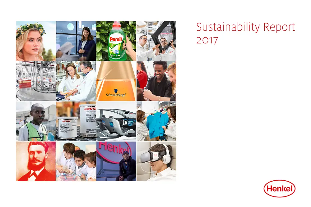 Kapak: 2017 Sürdürülebilir Gelişme Raporu